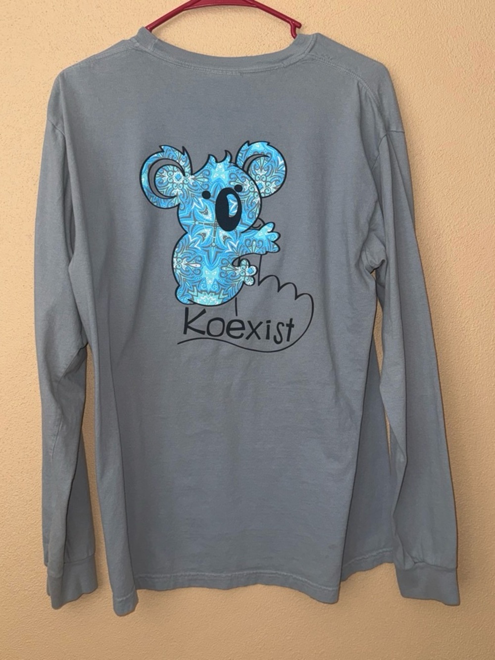Exist Women's Long-Sleeve Tee in Gray with Blue Koala Graphic